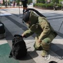 용산-현장-25 이미지