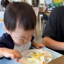 도윤이네 행복한 농장 | 용인 곤충테마파크
