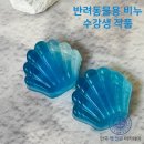 한국반려동물전문학원 네이버블로그