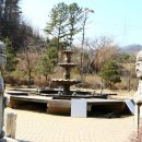 소나무갈비