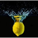 레몬의 꿈 이미지