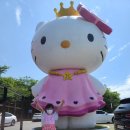 에이쉘인제주 이미지