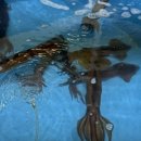 굴화유통 이미지