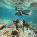 (명) 합동마트 | 세부 여행 - 원내생 탈출기 (1)