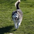 성남동물병원 이미지