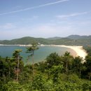 서포리해변 Daum카페