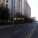 상동 393 이미지