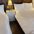 썬포레스트 이미지