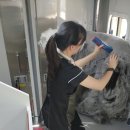 꾸미독 동탄애견미용 | 대형견 출장미용 뽀더독 올드잉글리시 쉽독 모모!🐶