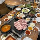 도야지 친구들 이미지