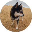 도기캠프 이미지