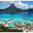 타히티 카카오 검색결과