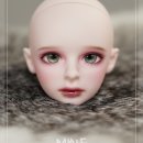 해시노멀 이미지