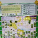 태비 월드컵 태권도장 이미지