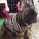 호두엔앙 이미지