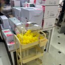 럭키-짱 | 모던하우스 럭키박스 9,900원 후기(냄비,다리미,트롤리)