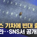 프랑스 기차에 빈대 출몰 잇따라‥SNS서 공개 이미지