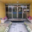 홍산초등학교병설유치원 이미지