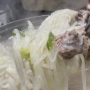 참돼지 이미지