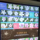 충북 청주시 가볼만한곳, 숲내음 가득한 '미동산수목원' 방문 후기