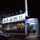 꼴통갈매기