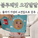유이농장 | 블루래빗 오감발달 돌아기 가성비 소전집 추천