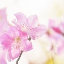 알뜰할인마트 - 금정구 | 알뜰할인마트