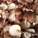 진정1농장 이미지