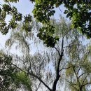 회동수원지 이미지