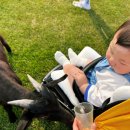 윤기목장 이미지