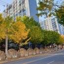 신화평광공인중개사사무소 이미지