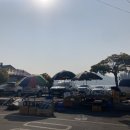 거북횟집 | [강진] 거북횟집 방문 후기 (장어주물럭)