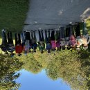 2026년 8월 28일 Hiking - Mimico Creek Trail 이미지
