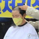 월정리마을회 이미지