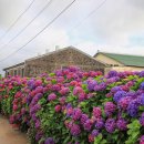 안성리-10 이미지