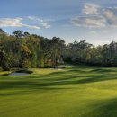 마스터스 골프클럽 이미지