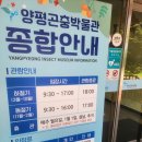곤충박물관(지하1층 전시실) | 양평아이랑가볼만한곳 양평실내가볼만한곳 양평곤충박물관 솔직 후기