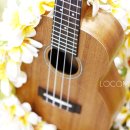 알로하 우쿨렐레 이미지