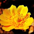 장안카정비 이미지