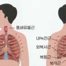 율트리