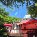 배내배내 이미지