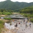 신신민박 이미지