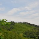 영화마을 이미지