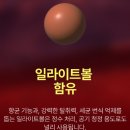 에스(S)펫 | [에스클래스 S CLASS] 에스클래스 신제품! 대용량 브라운벤토나이트 체험단