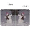 붕빵 이미지