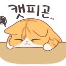 보해피부관리 네이버블로그
