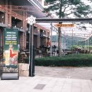 파인트리리조트 이미지