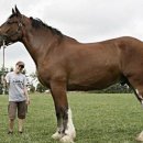 포우농장 이미지