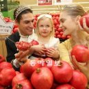 석류애견 이미지