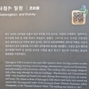 너무해태양광발전소 | 화창했던 그날 조선 왕궁을 걷다. 경복궁